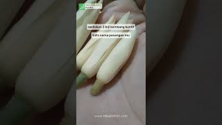Download Mp3 Pelet Kembang Kantil untuk Mengembalikan Mantan Gudang lagu Download Mp3 Pelet Kembang Kantil untuk Mengembalikan Mantan