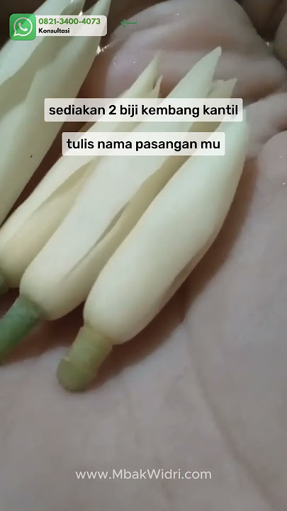Pelet Kembang Kantil untuk Mengembalikan Mantan
