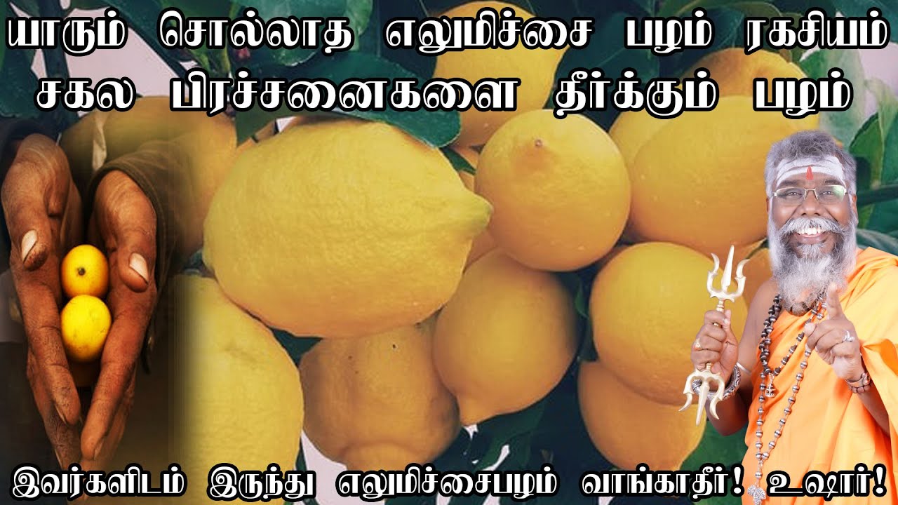 1 எலுமிச்சை பழம் எப்பேற்பட்டவரையும் ஒரே நாளில் அதிஷ்டசாலியாக்கும்