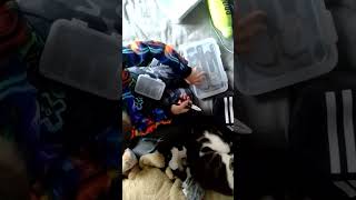 IKEA trixig drill and more