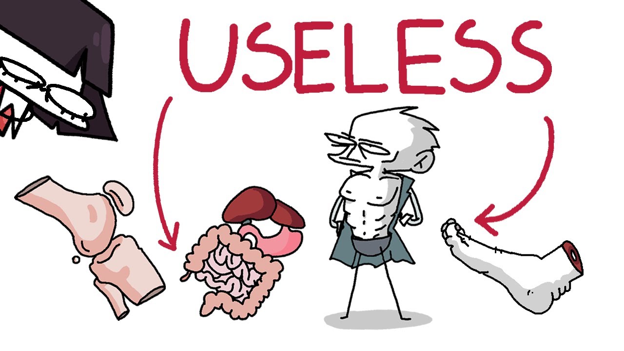 body parts you don't need YouTube