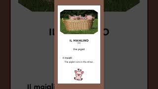 Learn Italian with farm animals 🇮🇹  #italianlanguage #easyitalian #italiano #studyitalian