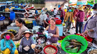 Mưu Sinh Nghề Bắt Cá Bè Trên Sông | Chợ Mỏ Cày Nam Đông Vui Nhiều Đặc Sản Đồng Quê