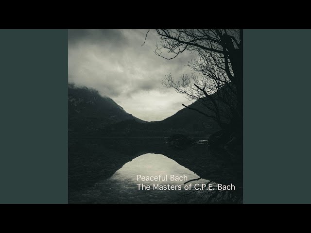 C.P.E. Bach: Württemberg Sonata No. 3 in E Minor, H. 33: I