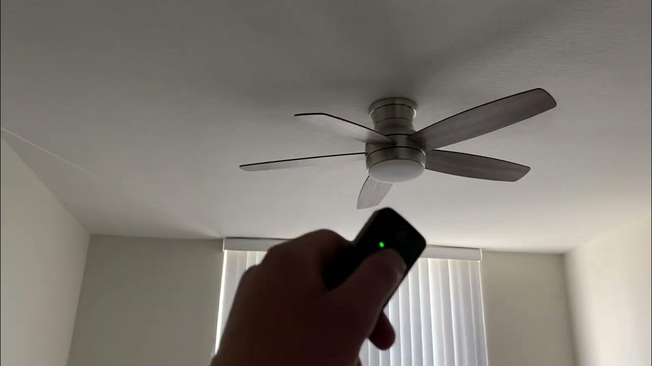 Home Decorators Collection Ashby Park Ceiling Fan YouTube