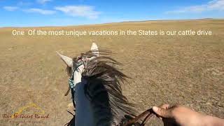 The Most Exciting Vacation In The United States