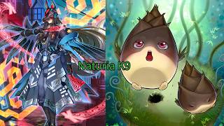 Naturia K9