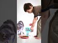 اغنيه لأهم براجراف للصف الرابع   