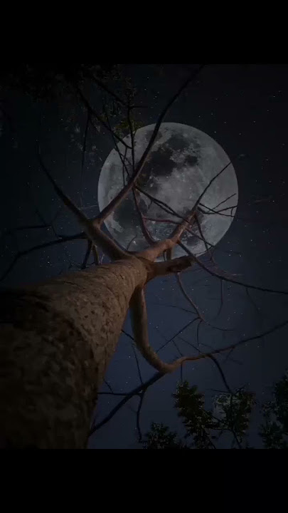 keheningan malam