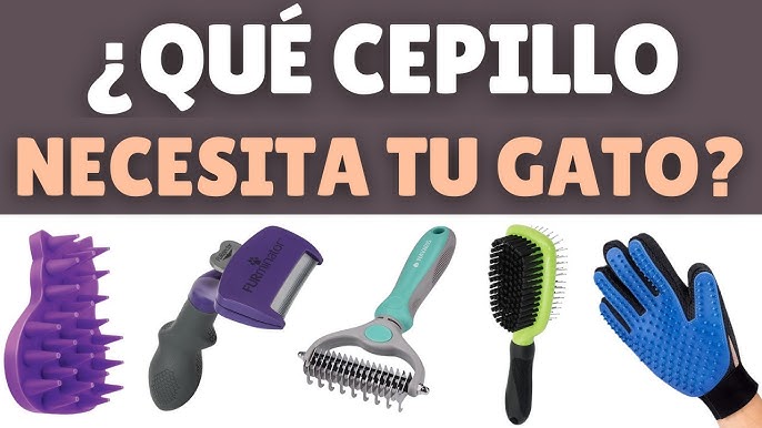 Cepillo De Vapor Para Gatos Peine para quitar pelo de gato, cepillo para  pelo de gato con puerto de DQrwqpou