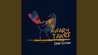 Video voorbeeld van "Dan Sultan - Old Fitzroy (Acoustic)"