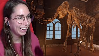 Museologist: Tidy Up the Museum piece by piece!