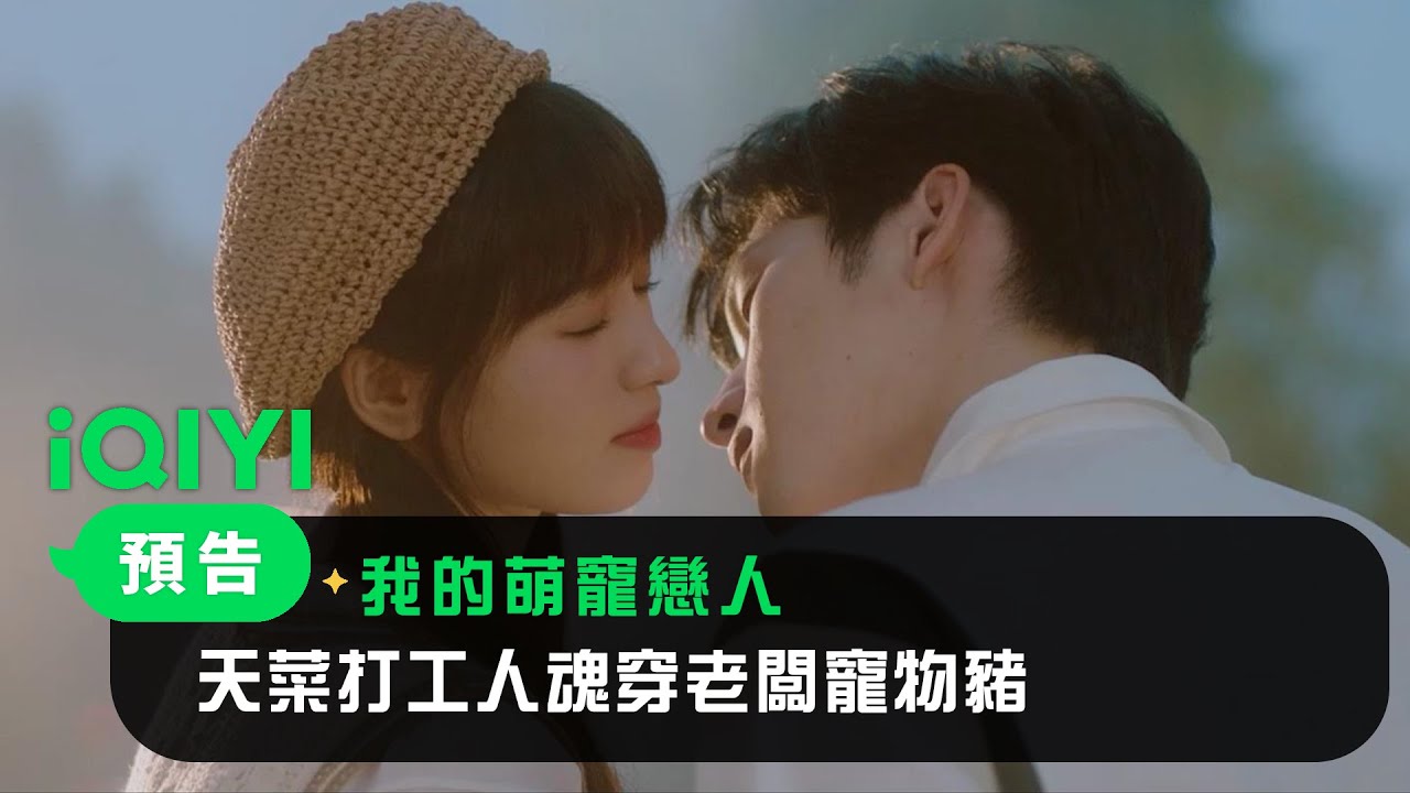 《我的萌寵戀人》預告：天菜打工人魂穿老闆寵物豬 上演職場熱戀 | 愛奇藝