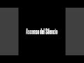 Sensillo (72)