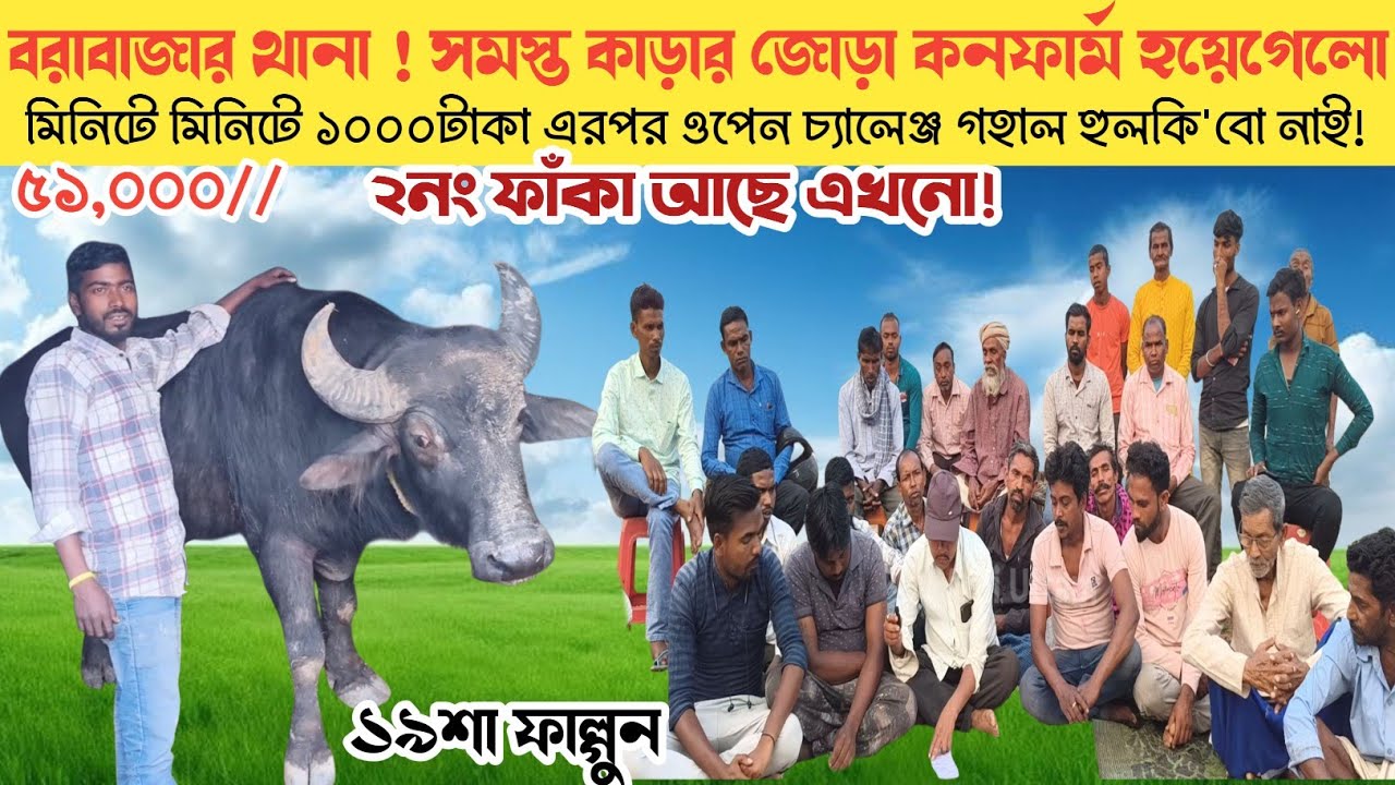 মিনিটে মিনিটে ১০০০টাকা! সমস্ত কাড়ার জোড়া কনফার্ম হয়েগেলো! ৫দিন আগেই আনতে পারে কাড়া।।