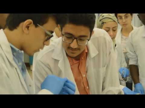Helwan Medical School - Brain Autopsy Lab