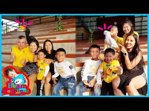 น้องบีม | นกบินมาหัวสั่นสะเทือน เที่ยวชลบุรี ฟาร์มแกะพัทยา