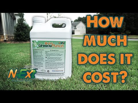 How Much Does N-Ext GreenePunch Cost? // N-Ext DIY Lawn ...