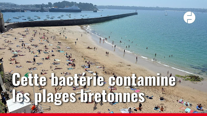 D’où vient la bactérie qui contamine les plages de Bretagne ?