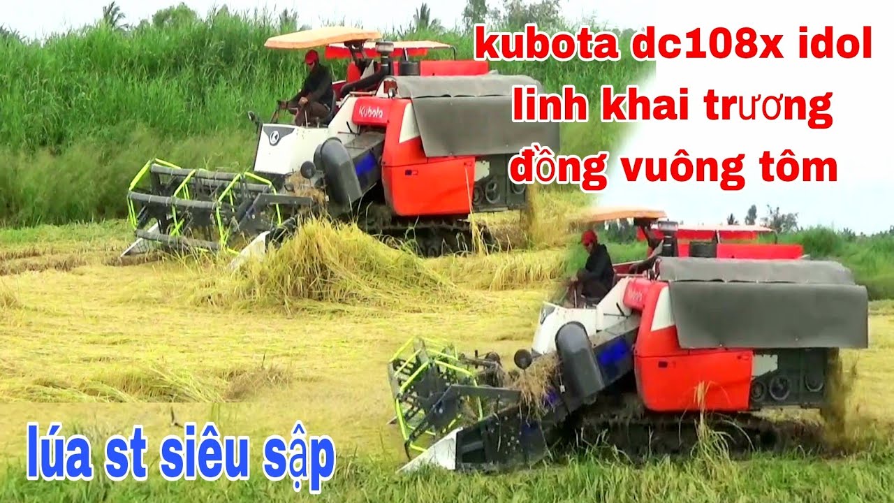 XEM MÁY CẮT LÚA KUBOTA DC108X CẮT LÚA SÂP CỦA IDOL LINH CHẠY BAO NGHẸN
