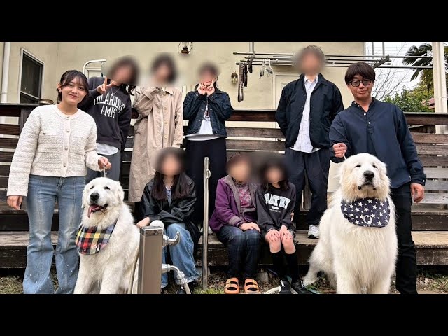 千客万来！沢山のお客さんが訪問してくれて嬉しいノエルとオスカーです