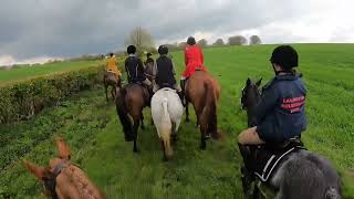 : Closing meet for the South Downs Bloodhounds at Milton Hill Farm 28/4/24