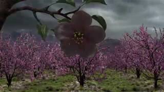Download lagu Ceres SA Full 30 Second TV Ad
