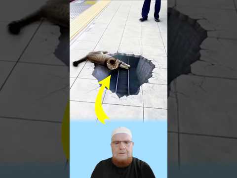 مشهد أربك الجميع خدعة أرضية جعلت القط يطير خوفا لايك اكسبلور 