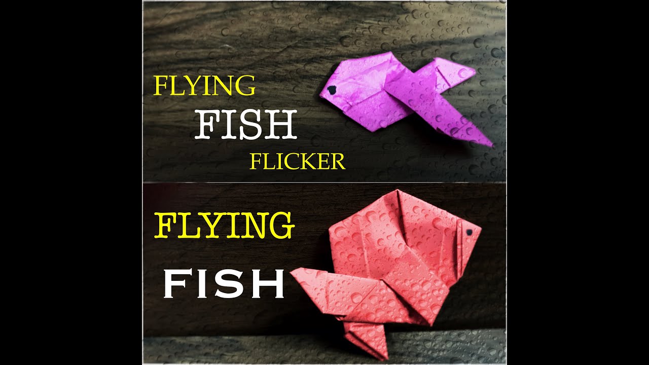 DIY | FLYING FISH FLICKER (कागज से मछली) : Easy Origami - YouTube