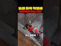 모래 하역 작업에 베테랑만 쓰는 이유 thumbnail