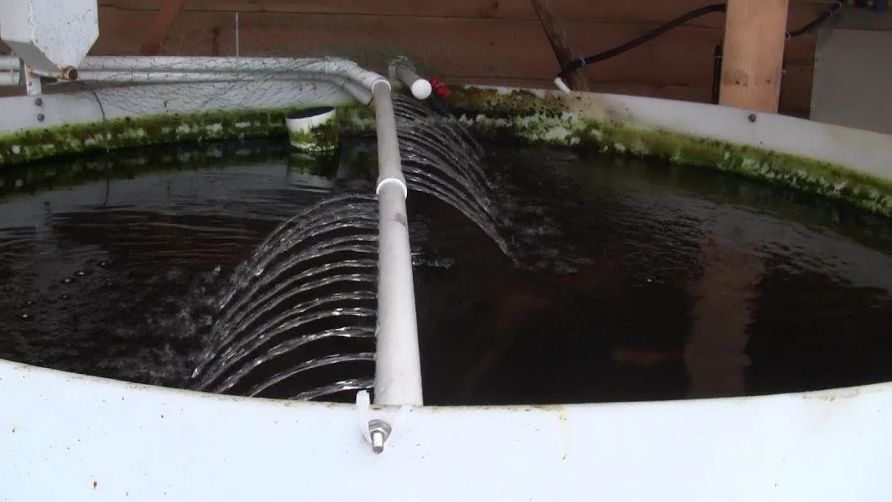 Spray Bar for Aquaponic system - YouTube