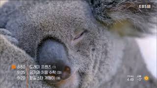 EBS1 방송시작영상 (2025/1/15)