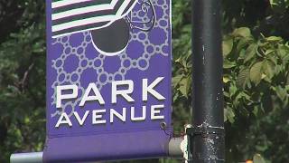 Park Ave Summer Stroll,  Dairy Queen helping Golisano, Urinetown