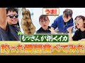 【飯テロ】釣った瞬間に食う！この食べ方が一番ウマい説🦑 #船釣り #釣りガール
