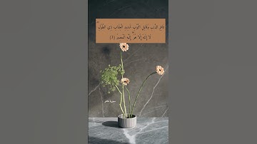 آية ٣ "غافر الذنب وقابل التوب شديد العقاب ذي الطول" من سورة غافر | استغفروا الله دائمًا