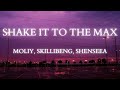 MOLIY Shenseea Skillibeng Silent Addy Shake It To The Max Fly Remix Lyrics 