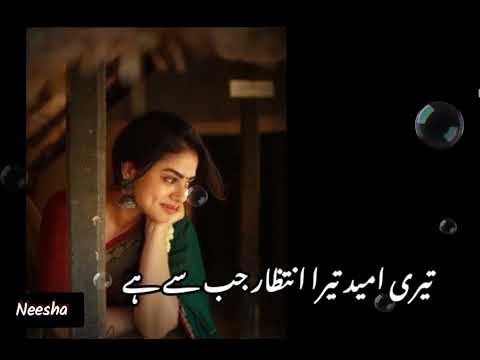 تیری امید تیرا انتظار