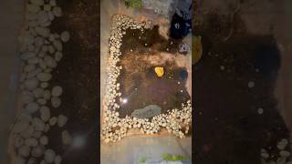 BLACKWORMS 🪱 | Is this breaking my own rule or evolving the method?? 