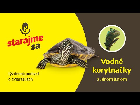 Video: Chrípka domáce opravné prostriedky