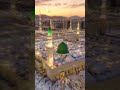 IslamicStatus #Islam #Bayan #DeeniRahas #IslamicReminder #Shorts #YouTubeShorts #ViralIslamic