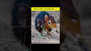 3 घंटे बिना खाना… मौत तय 😱”
