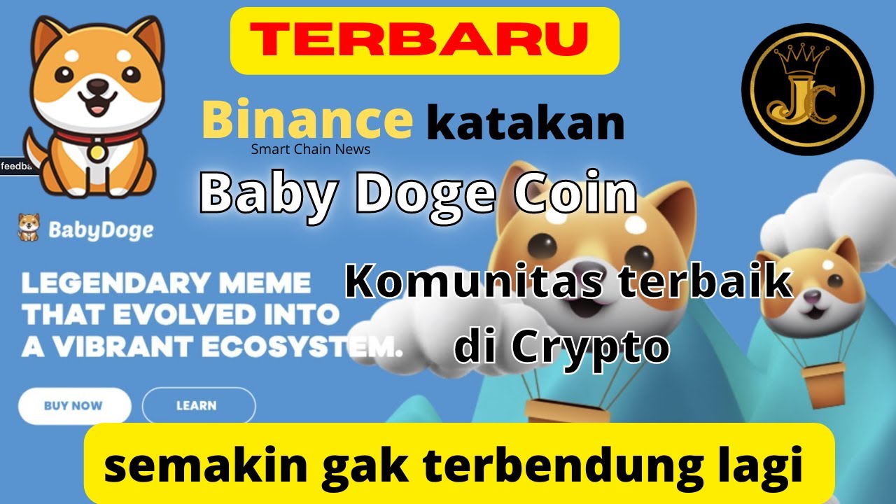 Info koin micin terbaru Binance Smart Chain News katakan Baby Doge Coin