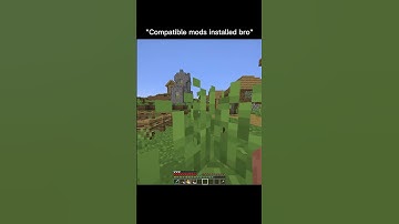 Compatible mods #minecraft #shorts