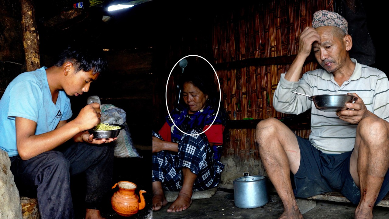 jungle man's son herding his cows in the jungle || family in the jungle || @junglefamilycooking