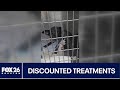 Houston-area animal rescue granted $150K for discounted treatment
