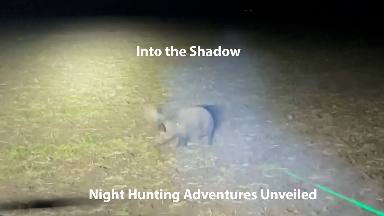 Thrilling Wild Boar Hunting Adventure YouTube