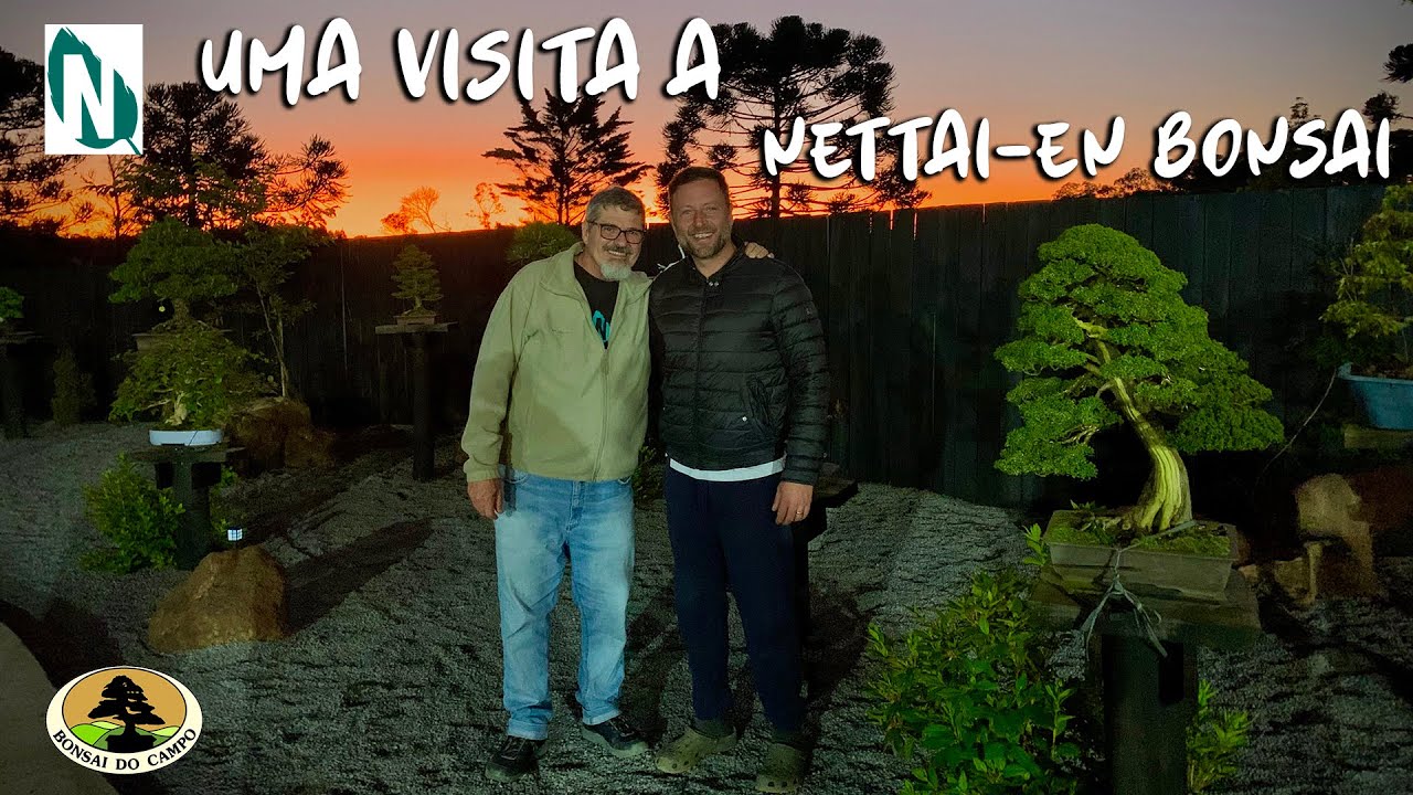 VISITA A NETTAI-EN BONSAI DO AMIGO FELIPE DALLORTO