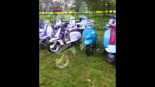 Berwick bulldogs Border Bash 2014