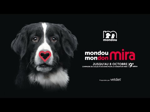 Produits de transport pour chiens - Mondou