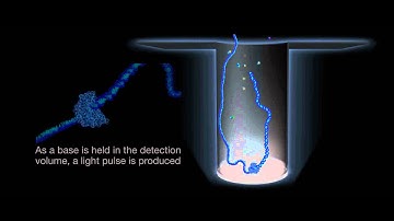 Introduction to SMRT Sequencing